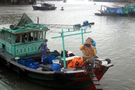 (Ảnh minh họa: Đức Hiếu/TTXVN)