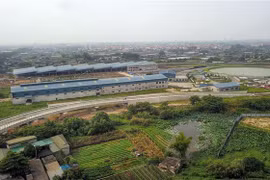 (Ảnh minh họa: Thành Đạt/TTXVN)