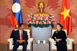 Chủ tịch Quốc hội Nguyễn Thị Kim Ngân tiếp Phó Chủ tịch Quốc hội nước Cộng hòa Dân chủ Nhân dân Lào Bounpone Bouttanavong. (Ảnh: Trọng Đức/TTXVN)