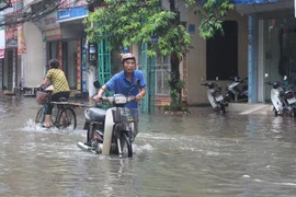(Ảnh minh họa: Nguyễn Chinh/TTXVN)