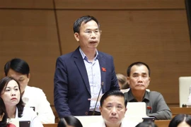 Đại biểu Quốc hội tỉnh Bình Định Đồng Ngọc Ba phát biểu. (Ảnh: Doãn Tấn/TTXVN)
