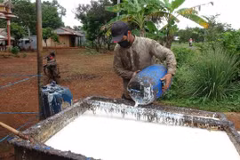 Điểm thu mua mủ cao su tại xã Đức Hạnh, huyện Bù Gia Mập, Bình Phước. (Ảnh: K GỬIH/TTXVN)