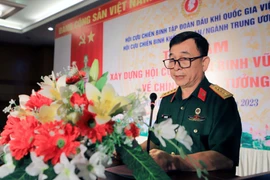 Phó Chủ tịch Hội Cựu Chiến binh Thông tấn xã Việt Nam Phan Anh Tuấn trình bày tham luận tại tọa đàm. (Ảnh: Thế Duyệt/TTXVN)