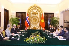 Quang cảnh buổi tham vấn chính trị cấp Thứ trưởng Ngoại giao Việt Nam-Na Uy. (Ảnh: Văn Điệp/TTXVN)
