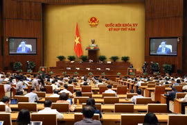 Quang cảnh phiên họp. (Ảnh: An Đăng/TTXVN)