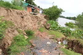 Khu vực sạt lở bờ sông tại xã Phú Đức, huyện Long Hồ, tỉnh Vĩnh Long. (Ảnh: Lê Thúy Hằng/TTXVN)