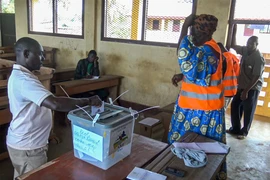 Một cử tri ở Cộng hòa Trung Phi bỏ phiếu vào ngày 30/7. (Nguồn: AP)