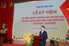 Ông Hoàng Duy Chinh, Bí thư Tỉnh ủy Bắc Kạn phát biểu. (Ảnh: Vũ Hoàng Giang/TTXVN)
