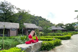Tập Yoga giữa thiên nhiên trong lành để kiểm soát và cân bằng cảm xúc. (Nguồn: Vietnam+) 