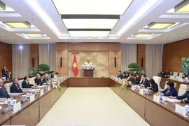 Quang cảnh buổi tiếp. (Ảnh: Doãn Tấn/TTXVN)