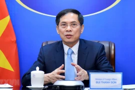 Bộ trưởng Ngoại giao Bùi Thanh Sơn dẫn đầu Đoàn Việt Nam tham dự hội nghị. (Ảnh: TTXVN phát)