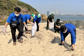 Lực lượng đoàn viên, thanh niên Việt Nam ra quân làm sạch bờ biển. (Ảnh minh họa: Nguyên Linh/TTXVN)