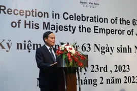 Phó Thủ tướng Trần Lưu Quang phát biểu chúc mừng. (Ảnh: TTXVN)