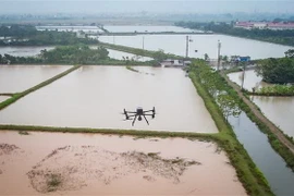 Một chiếc UAV đang trong quá trình đo đạc, xác mịnh mốc chỉ giới đỏ cho dự án vành đai 4. (Ảnh: Trung Nguyên/TTXVN)
