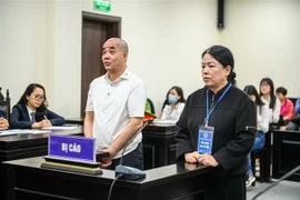 Hai bị cáo tại phiên tòa. (Ảnh: Kim Anh/TTXVN)