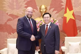 Chủ tịch Quốc hội Vương Đình Huệ tiếp Phó Chủ tịch Hạ viện Séc Jan Bartosek. (Ảnh: Doãn Tấn/TTXVN)