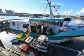 Ngư dân vận chuyển cá tại cảng Boulogne-sur-Mer, Pháp. (Ảnh: AFP/TTXVN)