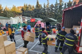 Cơ quan ứng phó thảm họa và tình huống khẩn cấp Thổ Nhĩ Kỳ (AFAD) tiếp nhận trang thiết bị y tế của Việt Nam. (Ảnh: TTXVN phát)