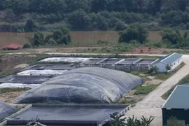 Khu xử lý chất thải của trang trại lợn thuộc Công ty Cổ phần Phát triển Nông nghiệp Công nghệ cao Tích hợp Anifer. (Ảnh: Tuấn Anh/TTXVN)