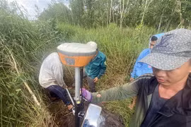 Đo tọa độ cắm mốc giải phóng mặt bằng thực hiện dự án Vành đai 3 tại huyện Bình Chánh, Thành phố Hồ Chí Minh. (Ảnh: Tiến Lực/TTXVN)