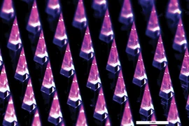 Máy in 3D có thể tạo ra các miếng dán vaccine ngừa COVID-19 công nghệ mRNA có kích thước bằng ngón tay cái. (Nguồn: Studyfinds)