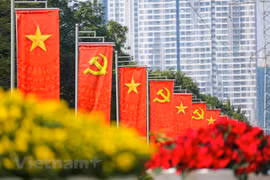 Ảnh minh họa. (Nguồn: Vietnam+)