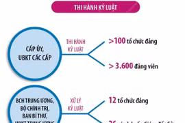 Kết quả công tác phòng, chống tham nhũng, tiêu cực.