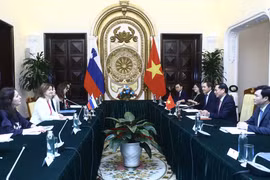 Bộ trưởng Ngoại giao Bùi Thanh Sơn hội đàm với Phó Thủ tướng, Bộ trưởng Ngoại giao và Các vấn đề châu Âu Cộng hòa Slovenia Tanja Fajon. (Ảnh: Lâm Khánh/TTXVN)
