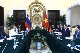 Bộ trưởng Ngoại giao Bùi Thanh Sơn hội đàm với Phó Thủ tướng, Bộ trưởng Ngoại giao và Các vấn đề châu Âu Cộng hòa Slovenia Tanja Fajon. (Ảnh: Lâm Khánh/TTXVN)
