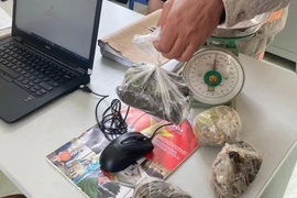 Tang vật thu giữ gồm 4 gói thuốc phiện với tổng khối lượng hơn 1kg. (Ảnh: TTXVN phát)