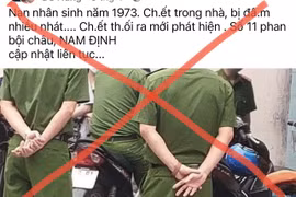 Ảnh minh họa. (Nguồn: Vietnam+)