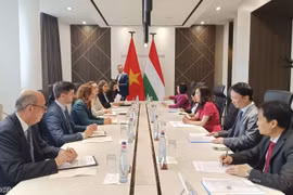 Thứ trưởng Bộ Ngoại giao Việt Nam Lê Thị Thu Hằng và Phó Quốc vụ khanh Bộ Ngoại giao và Kinh tế đối ngoại Hungary Bihari Katalin đồng chủ trì Tham vấn chính trị. (Nguồn: Báo Quốc tế)