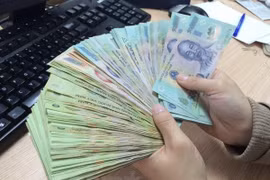 Ảnh minh họa. (Nguồn: Vietnam+)