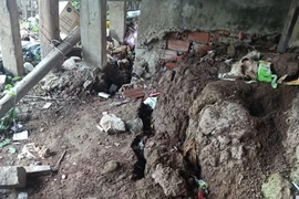 Bờ hữu sông Hậu rạn nứt với tổng chiều dài khoảng 40m. (Ảnh: TTXVN phát)