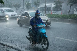 Ảnh minh họa. (Nguồn: Vietnam+)