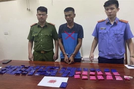 Đối tượng Vũ Văn Toản bị bắt giữ cùng tang vật. (Ảnh: TTXVN phát)