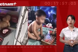 (Nguồn: Vietnam+)
