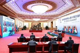 Hội nghị thượng đỉnh lần thứ 14 Nhóm các nền kinh tế mới nổi hàng đầu thế giới - BRICS - bao gồm Brazil, Nga, Ấn Độ, Trung Quốc và Nam Phi. (Nguồn: THX/TTXVN)