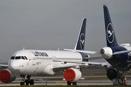 Máy bay của hãng hàng không Lufthansa tại Sân bay Berlin Brandenburg, Đức. (Ảnh: AFP/TTXVN)