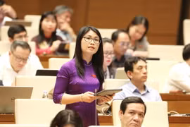 Đại biểu Quốc hội tỉnh Hải Dương Đinh Thị Ngọc Dung phát biểu. (Ảnh: Phương Hoa/TTXVN)