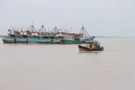 Ảnh minh họa. (Nguồn: TTXVN)