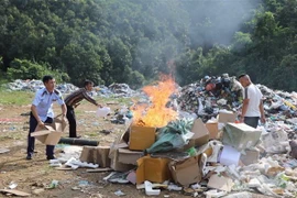 Tiêu hủy sản phẩm thuốc lá điện tử nhập lậu. (Ảnh minh họa: TTXVN phát)