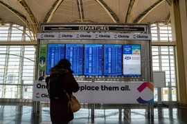 Hành khách xem thông tin về các chuyến bay tại sân bay Ronald Reagan. (Ảnh: THX/TTXVN)