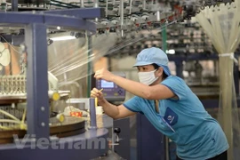 Ảnh minh họa. (Nguồn: Vietnam+)