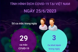 Cập nhật tình hình dịch COVID-19 tại Việt Nam ngày 25/6.