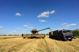 Nông dân thu hoạch lúa mỳ gần Melitopol, vùng Zaporizhzhia, Ukraine. (Nguồn: AFP/TTXVN)