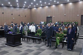 Các bị cáo nghe chủ tọa tuyên án. (Ảnh: Phạm Kiên/TTXVN)