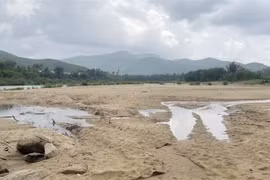 Bãi tập kết cát cùng xe cơ giới gần mỏ cát sông Vệ đoạn thôn Tân Long Trung, xã Ba Động. (Ảnh: Phạm Cường/TTXVN)