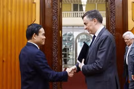Phó Thủ tướng Trần Lưu Quang đón Chủ tịch Ủy ban Đối ngoại của Nghị viện châu Âu (EP) David McAllister. (Ảnh: An Đăng/TTXVN)