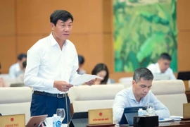 Phó Tổng Kiểm toán Nhà nước Doãn Anh Thơ trình bày các báo cáo tóm tắt. (Ảnh: Doãn Tấn/TTXVN)